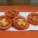 카페 인(cafe in) 이미지
