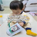 마일목장 | 돌아기 간식 고민 끝! 키즈마일 퍼기 풀 먹고 자란 목초육 소고기칩 솔직 후기