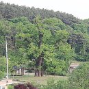 밤산농원 이미지