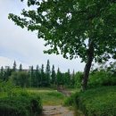 녹색중앙의원 이미지