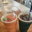 뚱냥한 하루 이미지