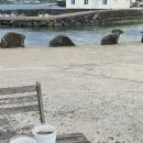 원앙 식당집 이미지