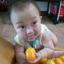 수민농장 이미지