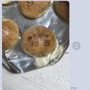 보현동물병원 | 여름 코코아 겨울 수박