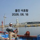 울진은어다리. 망양정. 석류굴. 죽변항. 석호항. 2026. 06. 18 이미지