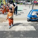 새싹교통어린이공원 이미지