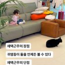 언젠家가