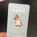 독한마캣 이미지