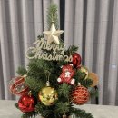 미니하우스 | 모던하우스 올인원 미니트리 추천 45cm 가성비 후기