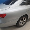 JS덴트칼라