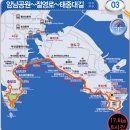꾸이마당 Daum카페