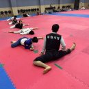 경희최강태권도장 네이버블로그
