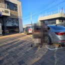 씨알트리 | 아산시 빵집 쁘띠프렌치베이글 본점 곡교천 은행나무길 베이커리카페
