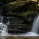 Somersby Falls, Central Coast 이미지