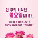 그루터기 이미지