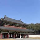 사비로 | 부여 백제문화단지 입장료 할인 전기어차 사비로열차 총정리