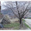 산안2리마을 이미지