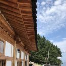 추산노을빛 | [경북 울릉도] 울릉도살기_Day12, 추산노을빛펜션, 한옥펜션, 현포전망대, 대풍감, 마루치킨, 나리분지...
