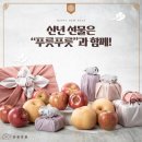 푸릇푸룻