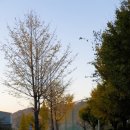 함마대로 이미지