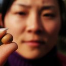 노른이천 이미지