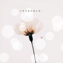 수진유통 네이버블로그