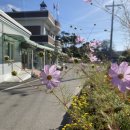 하성리마을회관 이미지