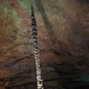 황룡목욕탕 이미지