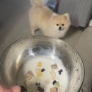 휴청곡 | 7월 3주차 푹푹찌는 일상 여름정모 기록