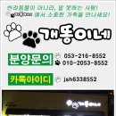 장화신은 고양이 & 강아지 미용 이미지