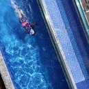 노블 루스트 이미지