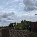 림의 집 이미지