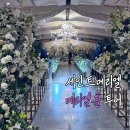 11650-11-72-48 | 강남 세인트메리엘 메리엘홀 웨딩홀 투어 후기 : 2027 견적 및 식대 주차 공유