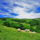 황제펜션 이미지