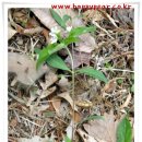 산수화농장 이미지