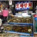 오렌지수산 이미지