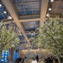 (주) 호텔수성 | [웨딩홀후기] ​💒 대구 수성호텔 웨딩홀 피오니홀 하객 후기: 수성못 뷰가 환상적인 곳! + 너무힘들었다.