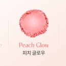 디오티앤 이미지