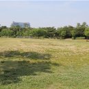 몽마르뜨 이미지