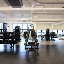 리든덤벨 이미지