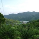 삼화보건지소 티스토리