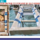 대신택배