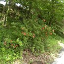 홍류동 화장실 이미지