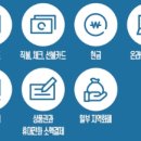 문화비2_카카오페이