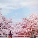 태호바이오 이미지