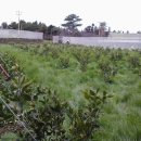 지재농장 이미지