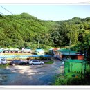 성주허스키켄넬 이미지