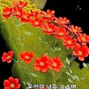 오늘하루 이미지