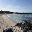 주호목장 | [역사호기심] 역사 속 제주도는 어떤곳이였을까? 백제땅?신라땅?어느 나라? (feat. 제주의 옛 이름, 탐라)