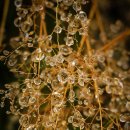 고즈넉이 이미지